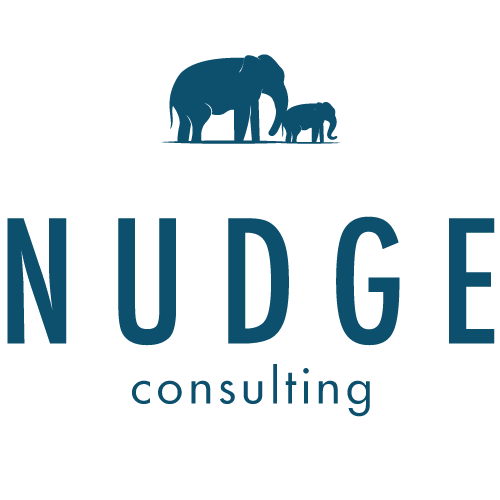 NUDGE consulting